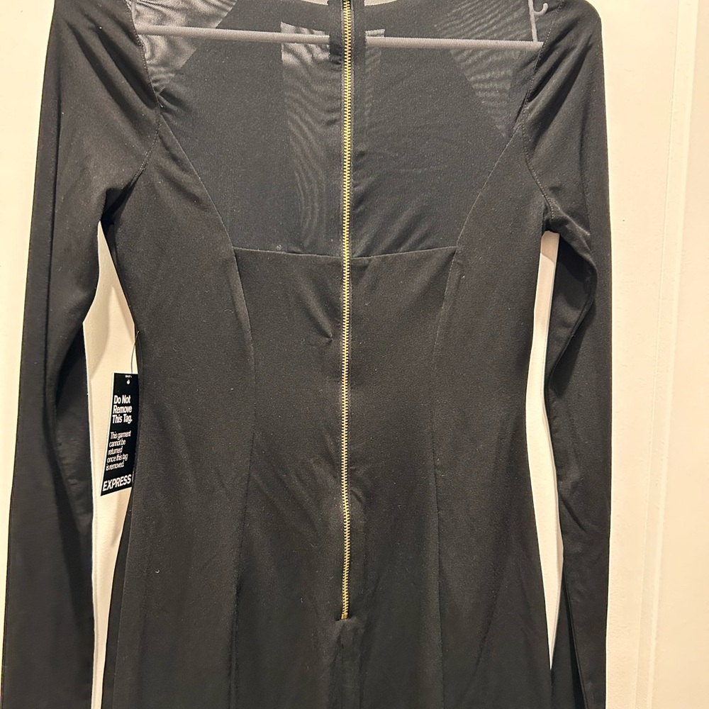 Express mesh dress